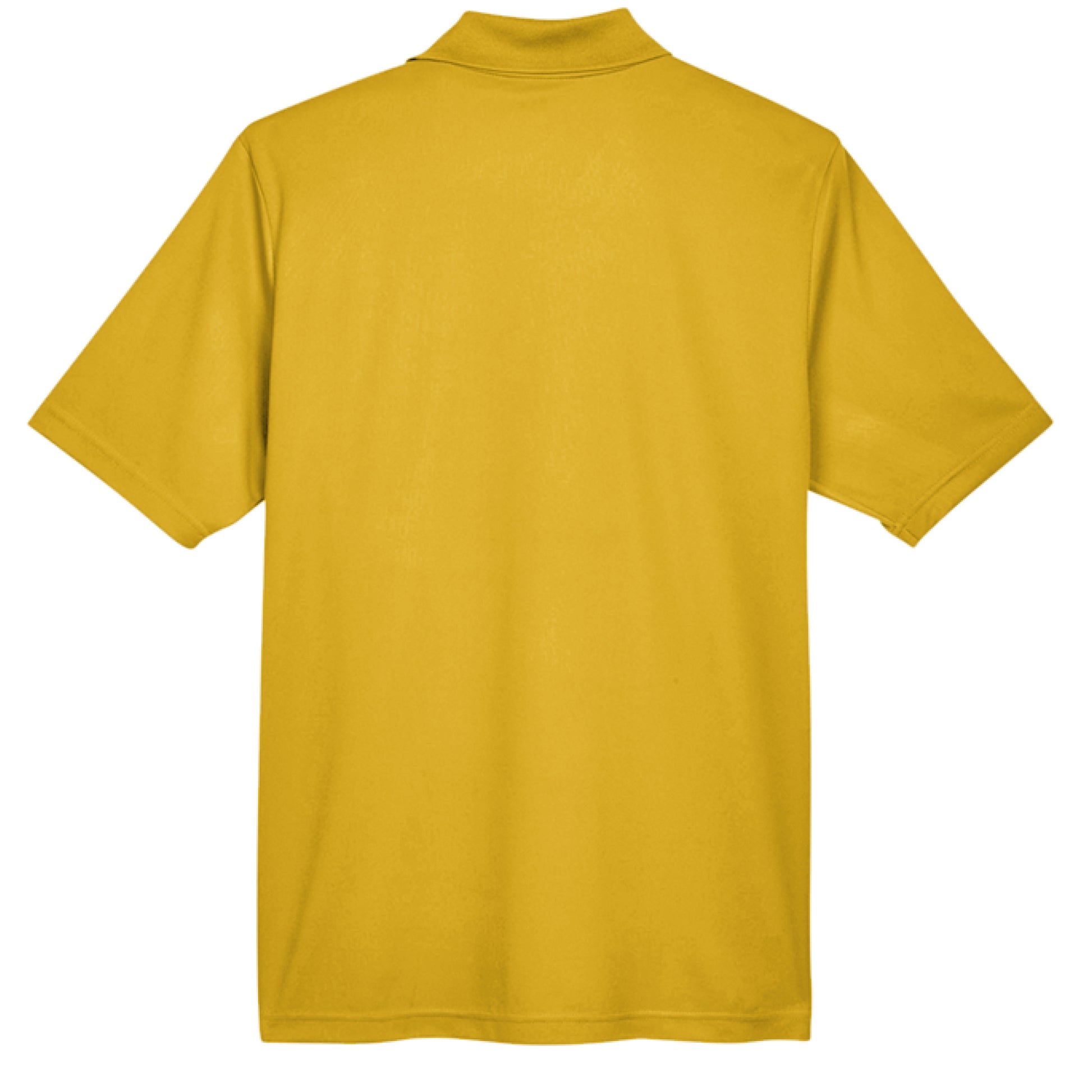 CAMPUS GOLD 444 - BACK